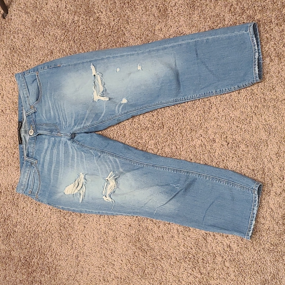 Express girlfriend distressed skinny jeans